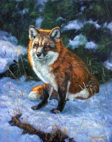 red fox, red fox art, western art, nature art, nature artist, red fox painting, red fox art, red fox oil painting, wildlife art, wildlife artist, leslie kirchner, leslie kirchner artist, leslie kirchner art, fox painting, fox, foxes, north american foxes, fox in snow